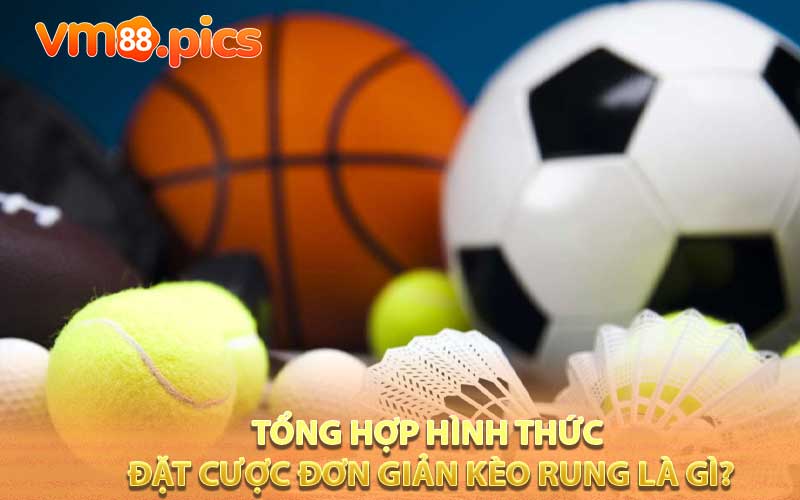 Tổng hợp hình thức đặt cược đơn giản kèo rung là gì?